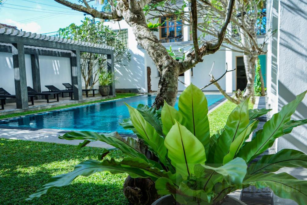 Temptation Hotel Hikkaduwa Exterior photo